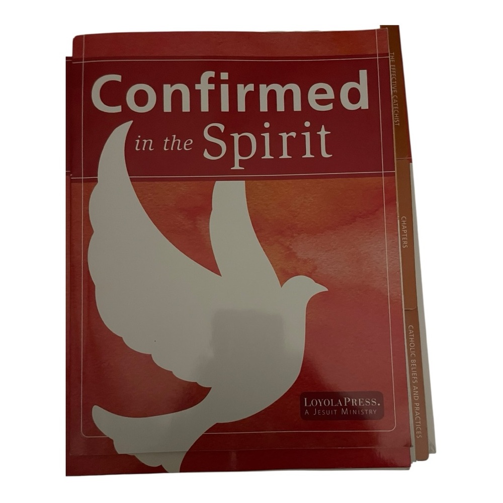 Confirmed in the Spirit Catechist Guide - Picture 4 of 5